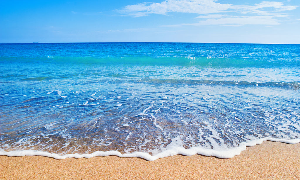 Shop beach and ocean-themed wall murals for indoor and outdoor use