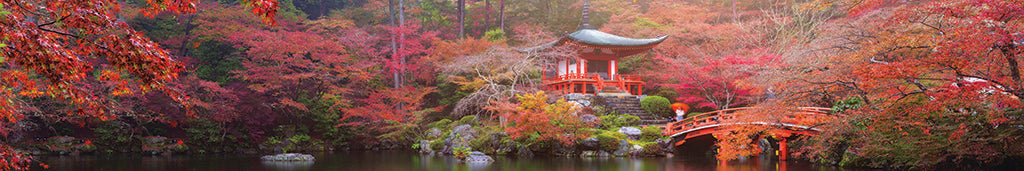 0028, Autumn at Daigo-ji, Japan, Panoramic