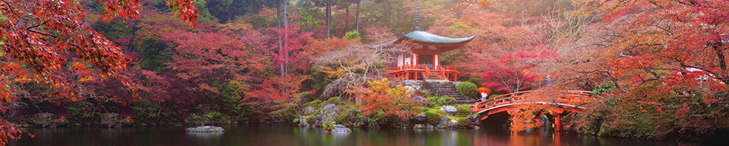 0028, Autumn at Daigo-ji, Japan, Panoramic