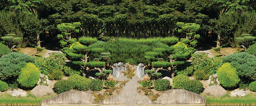 2457, Toulouse Zen Garden, France, Panoramic