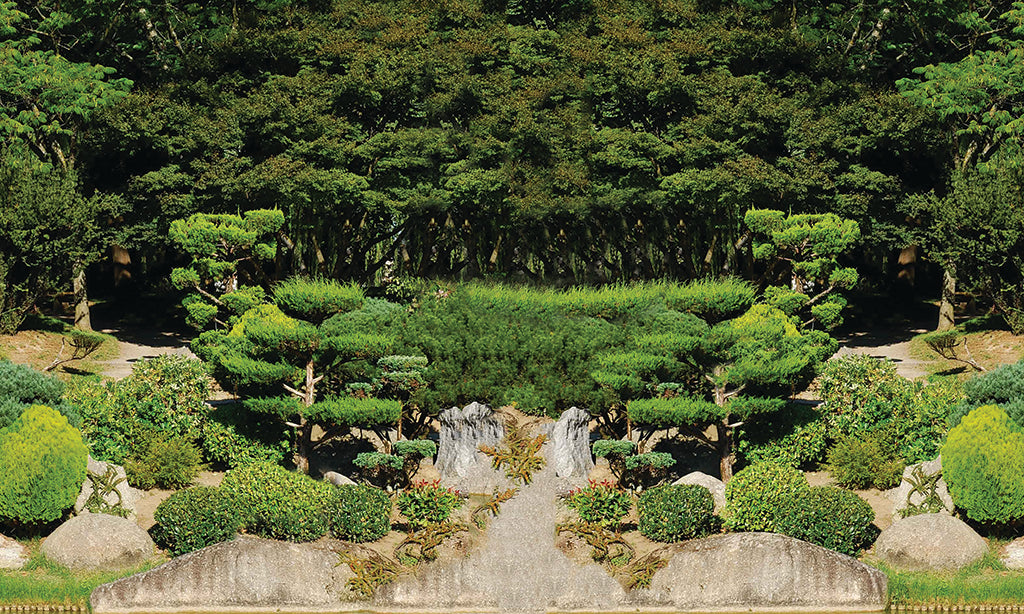 2457, Toulouse Zen Garden, France, Panoramic