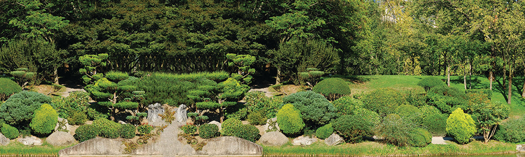 2457, Toulouse Zen Garden, France, Panoramic