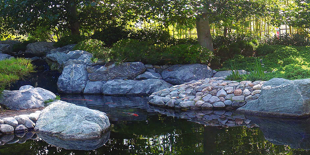 Garden 5492