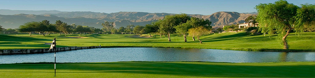 2642, Palm Springs Golf Oasis, California, Panoramic