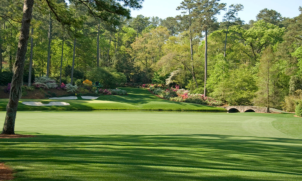 5075, Augusta's Legendary 12th, Georgia, Panoramic