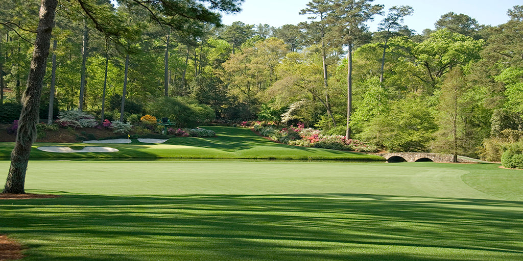 5075, Augusta's Legendary 12th, Georgia, Panoramic