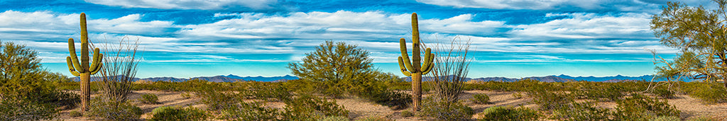 Southwest 0002