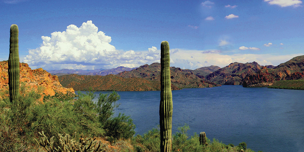 5652, Desert Waters at Saguaro, Arizona, Panoramic