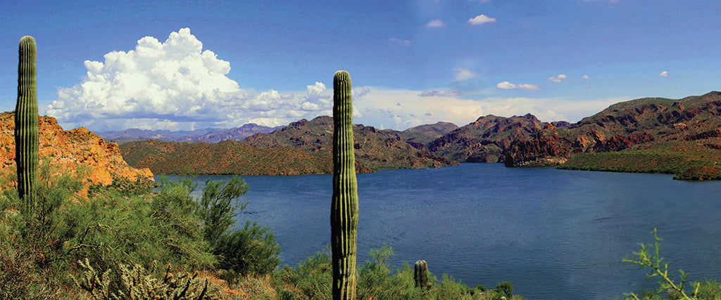 5652, Desert Waters at Saguaro, Arizona, Panoramic