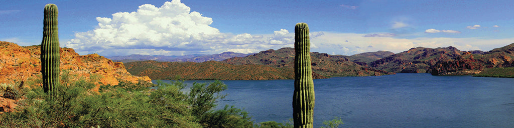 5652, Desert Waters at Saguaro, Arizona, Panoramic