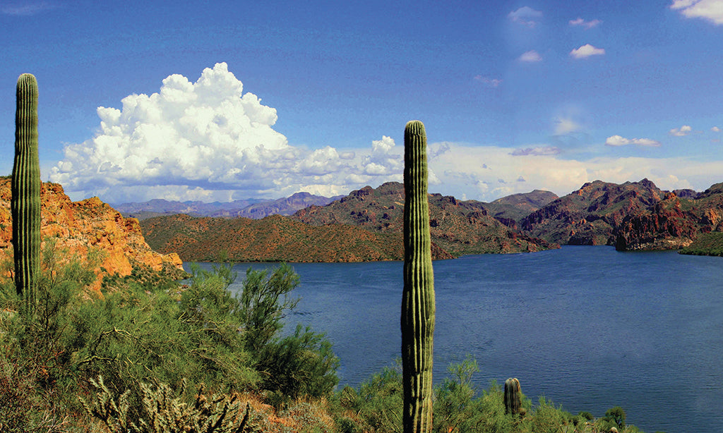 5652, Desert Waters at Saguaro, Arizona, Panoramic
