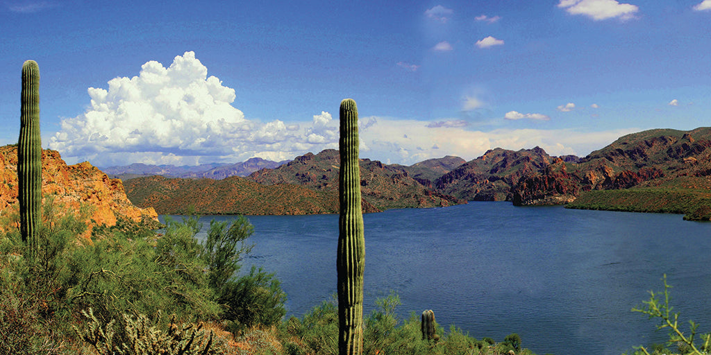 5652, Desert Waters at Saguaro, Arizona, Panoramic