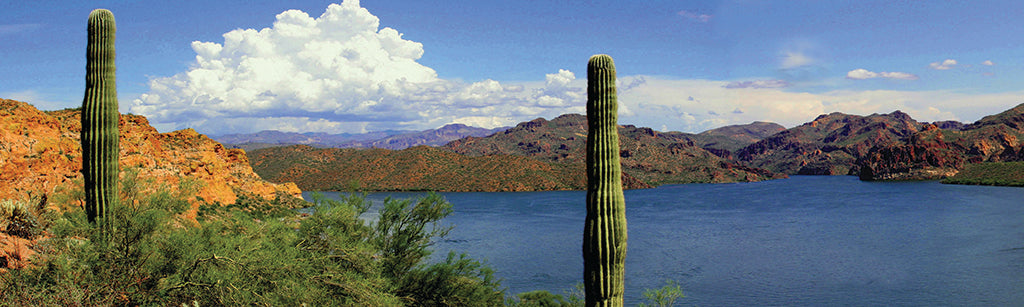5652, Desert Waters at Saguaro, Arizona, Panoramic