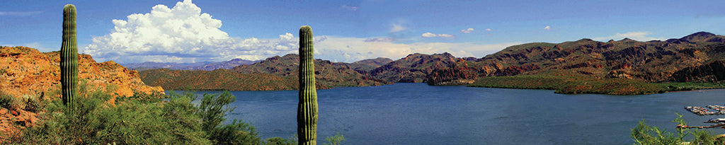 5652, Desert Waters at Saguaro, Arizona, Panoramic