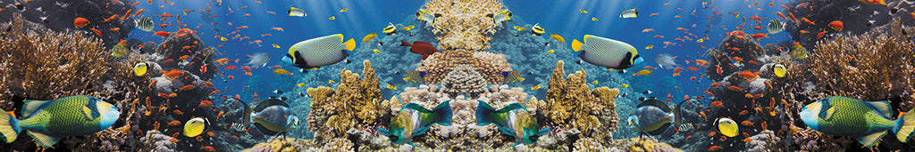 Undersea 3148