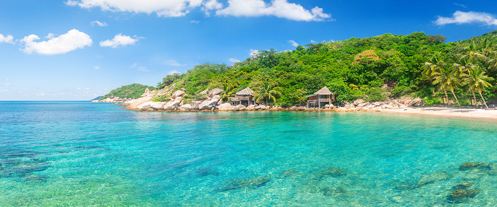 2156, Tropical Shore Escape, Panoramic