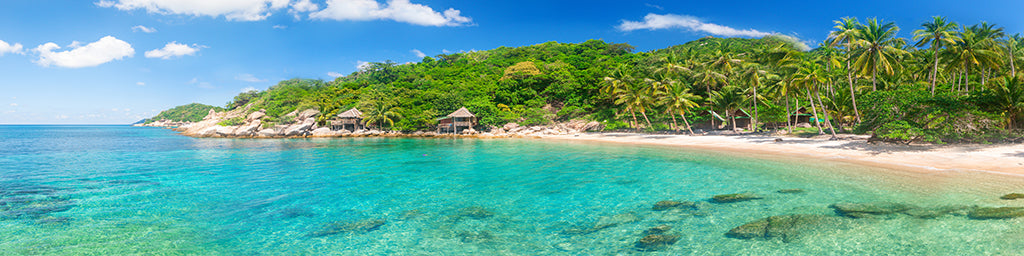 2156, Tropical Shore Escape, Panoramic