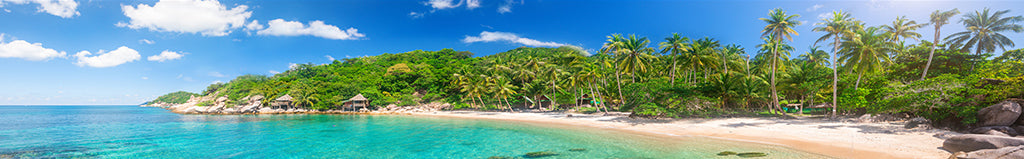 2156, Tropical Shore Escape, Panoramic