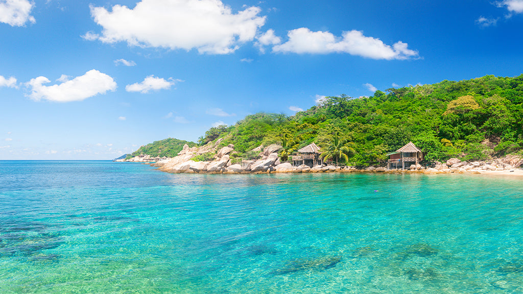 2156, Tropical Shore Escape, Panoramic