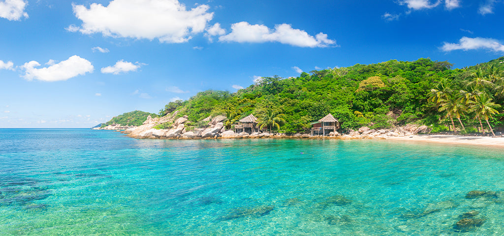 2156, Tropical Shore Escape, Panoramic