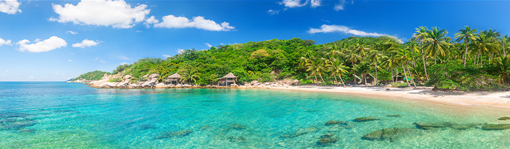 2156, Tropical Shore Escape, Panoramic