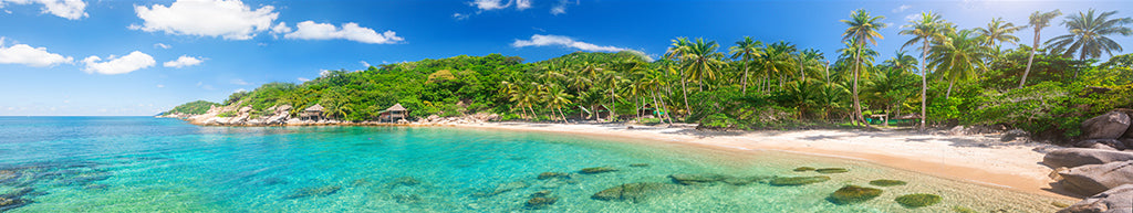 2156, Tropical Shore Escape, Panoramic