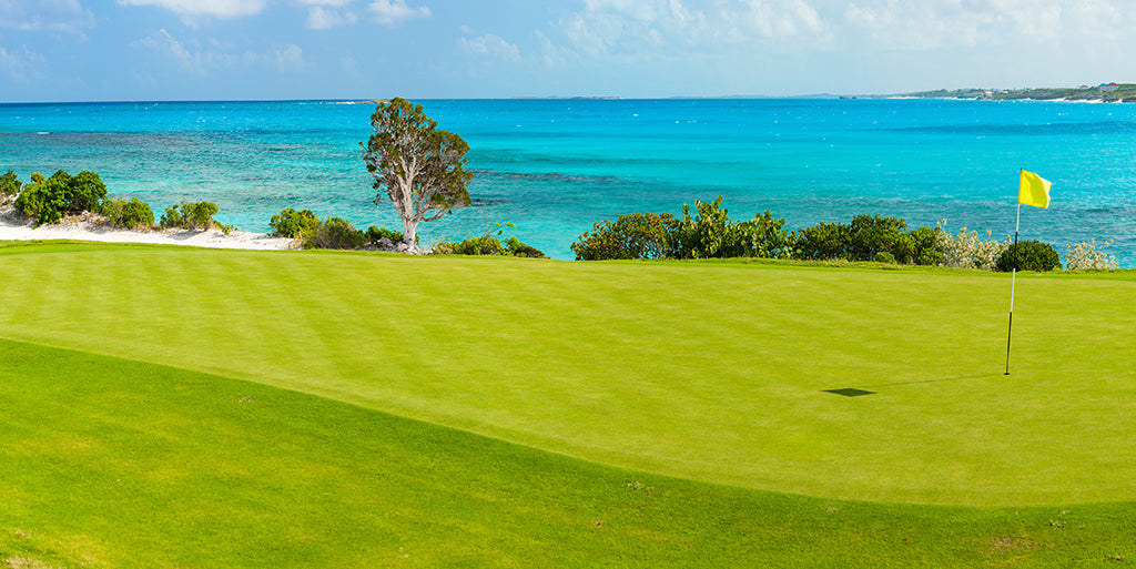 7772, Seaside Golf Green, Panoramic