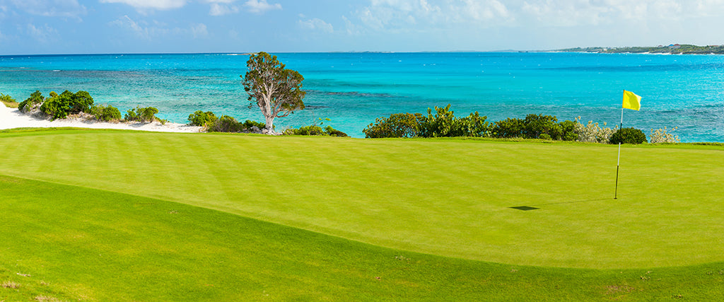 7772, Seaside Golf Green, Panoramic
