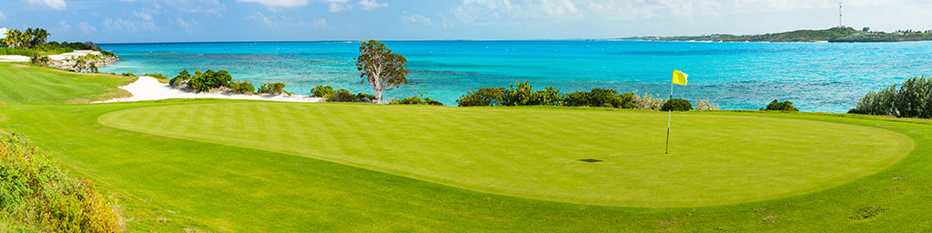 7772, Seaside Golf Green, Panoramic