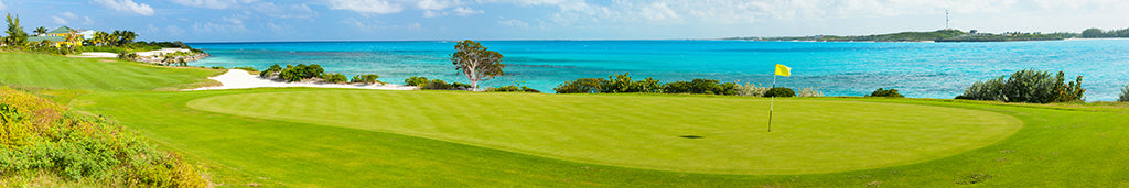 7772, Seaside Golf Green, Panoramic