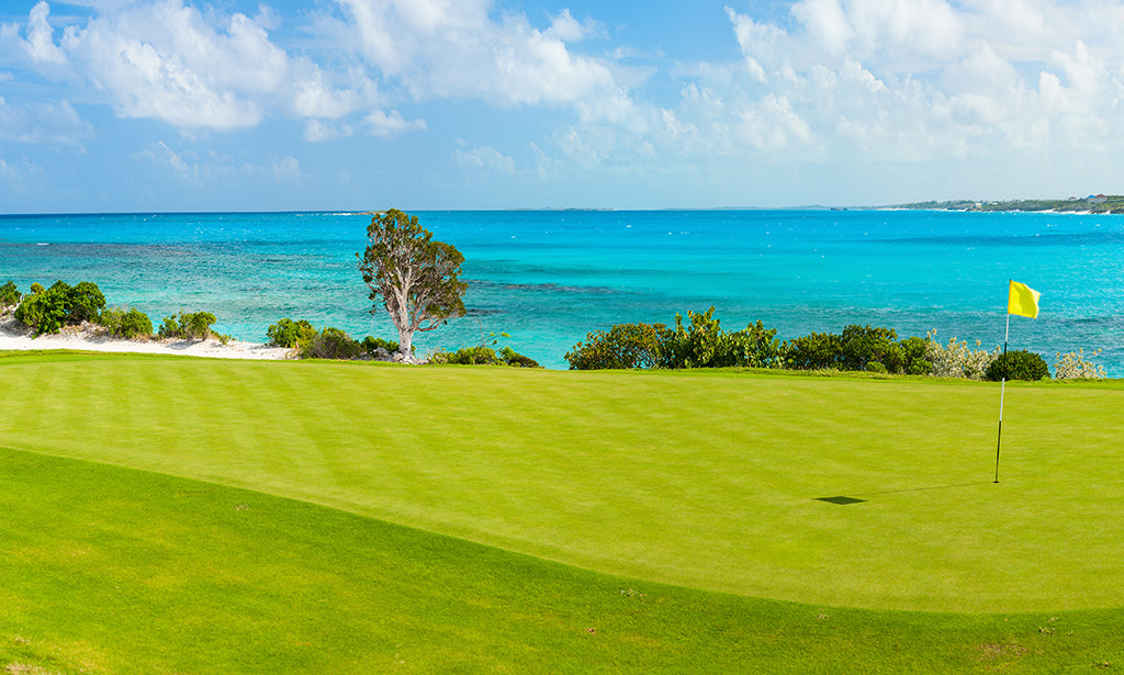 7772, Seaside Golf Green, Panoramic