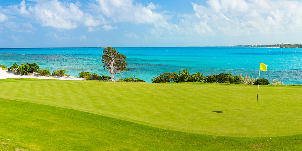 7772, Seaside Golf Green, Panoramic