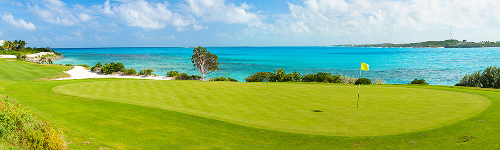 7772, Seaside Golf Green, Panoramic