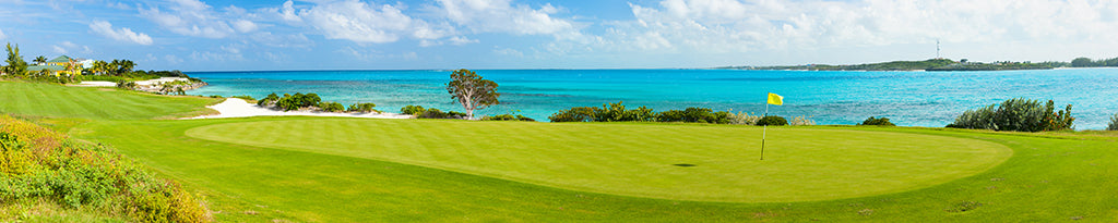 7772, Seaside Golf Green, Panoramic