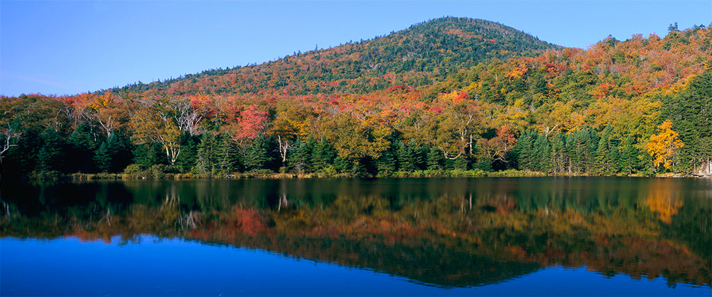 5226, Autumn White Mountains, New Hampshire, Panoramic