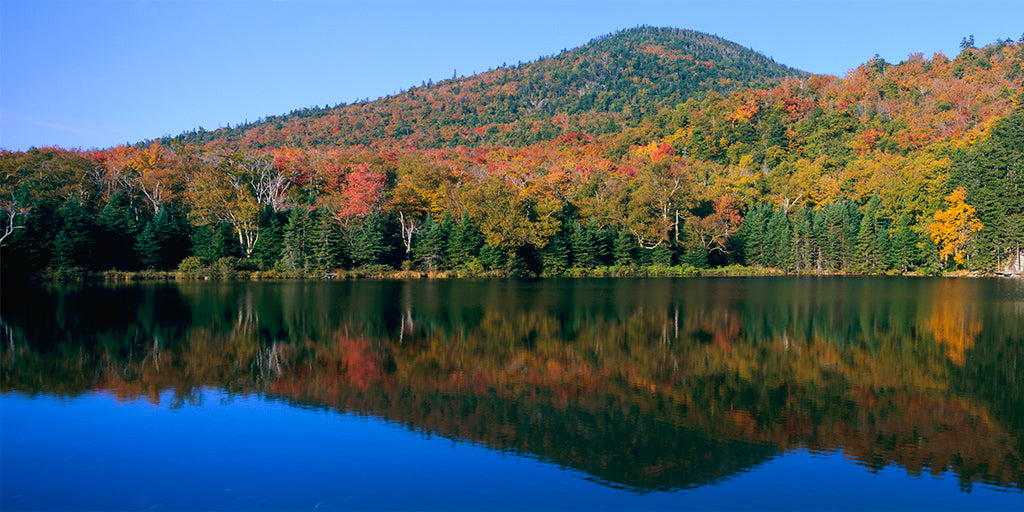 5226, Autumn White Mountains, New Hampshire, Panoramic