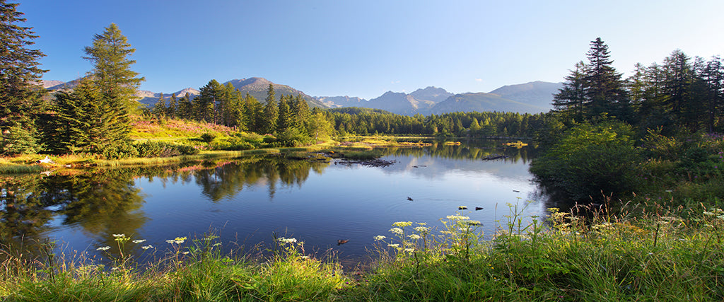 5938, Peaceful Tatra Peaks, Slovakia, Square