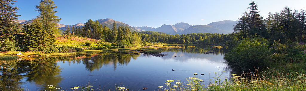 5938, Peaceful Tatra Peaks, Slovakia, Square