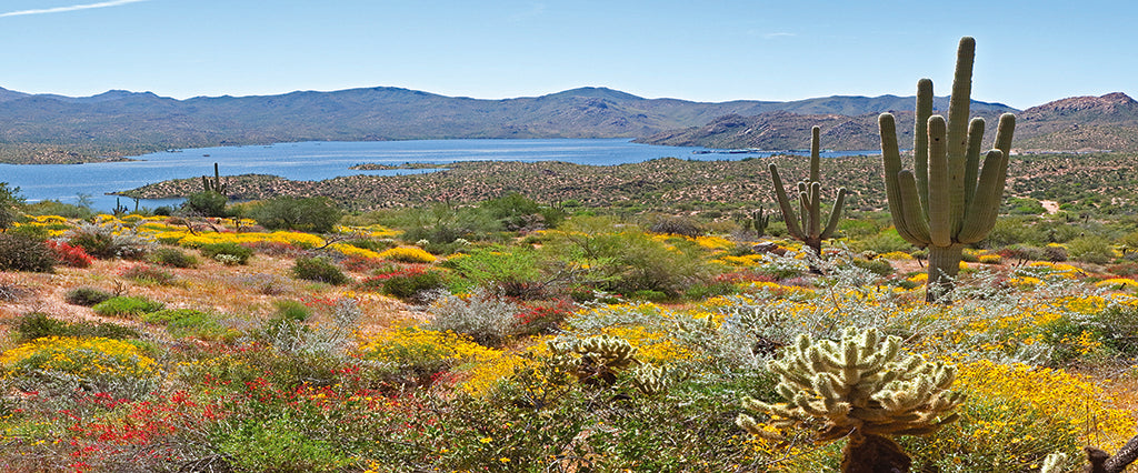 0014, Bartlett Lake Desert, Arizona, Panoramic