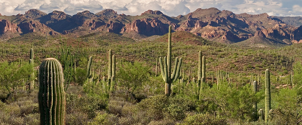 4906, Superstition Solitude, Arizona, Square