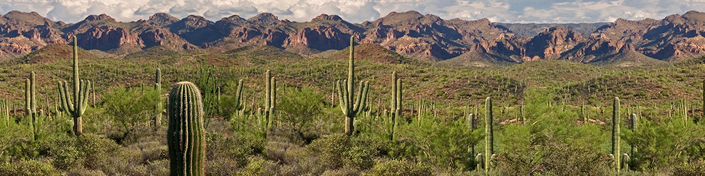 4906, Superstition Solitude, Arizona, Square