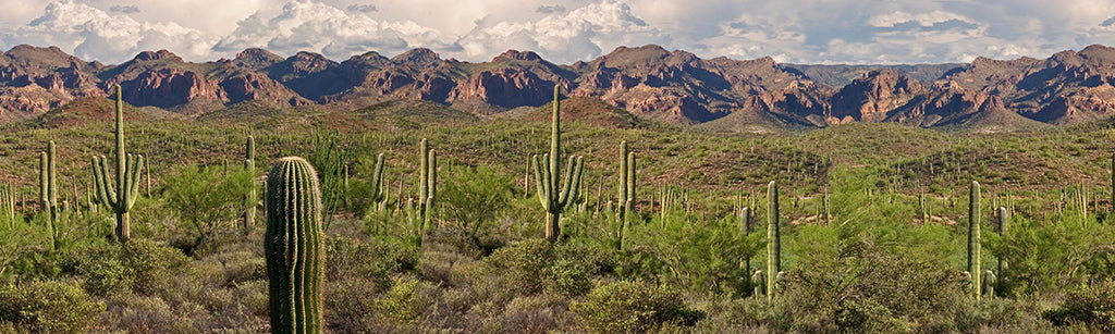 4906, Superstition Solitude, Arizona, Square