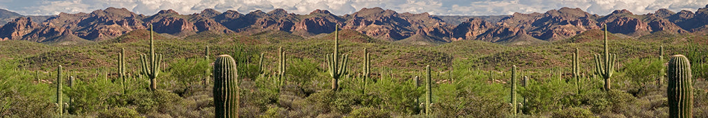 4906, Superstition Solitude, Arizona, Square