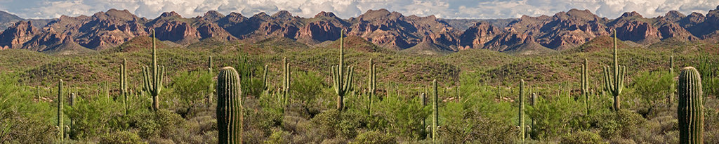 4906, Superstition Solitude, Arizona, Square