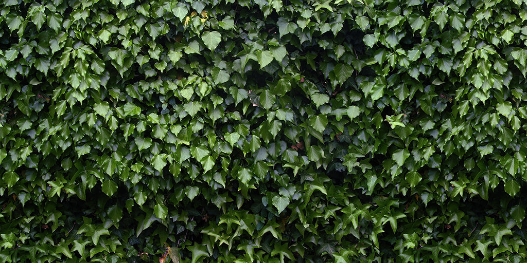Texture 2061 Dark