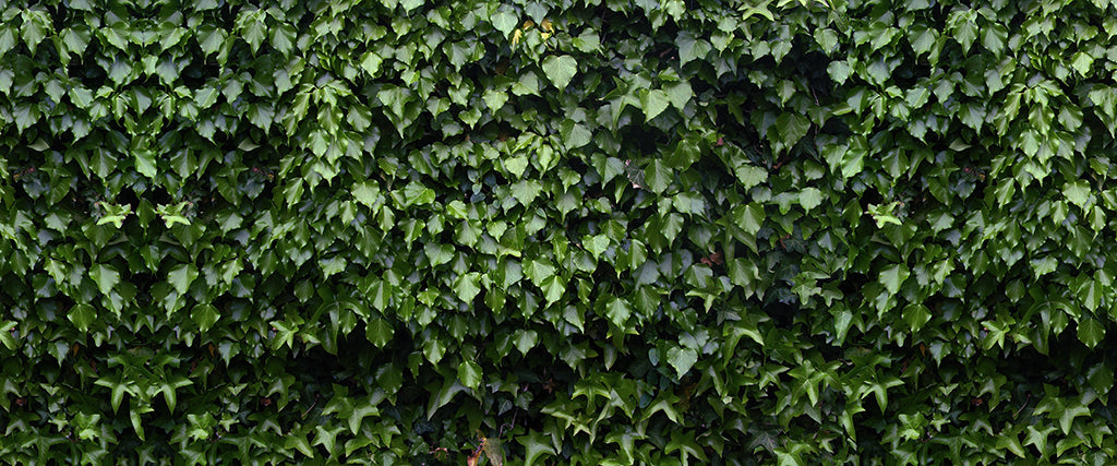 Texture 2061 Dark