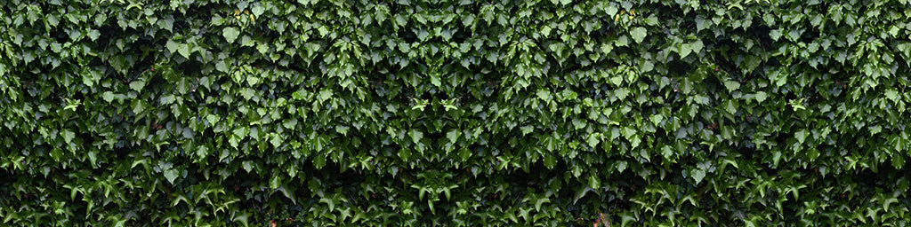 Texture 2061 Dark