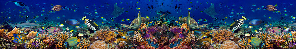 Undersea 1843
